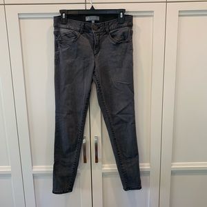 Wit & Wisdom Gray Jeans with Elastic Waistband